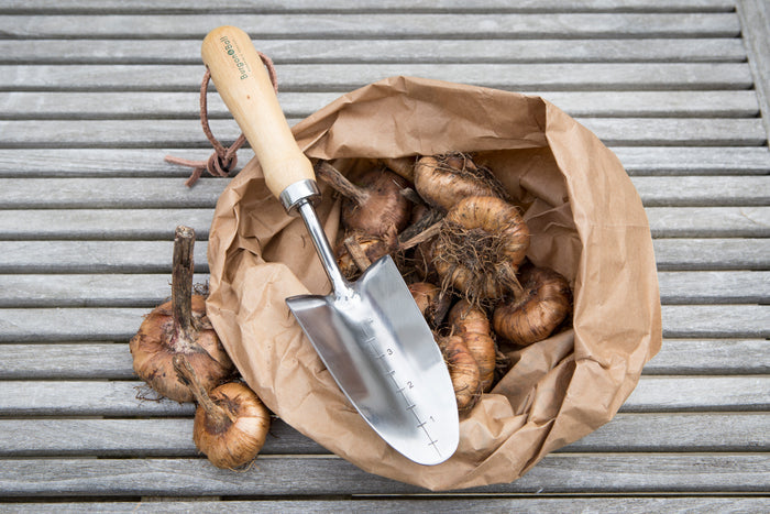 Buy Burgon & Ball RHS Stainless Transplanter online UK