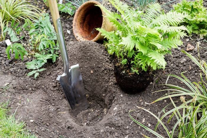 Buy Burgon & Ball RHS Transplanting Spade online UK