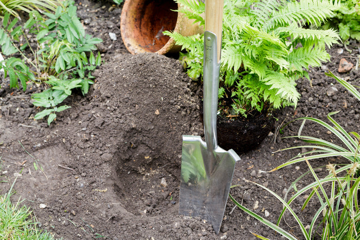 Buy Burgon & Ball RHS Transplanting Spade online UK
