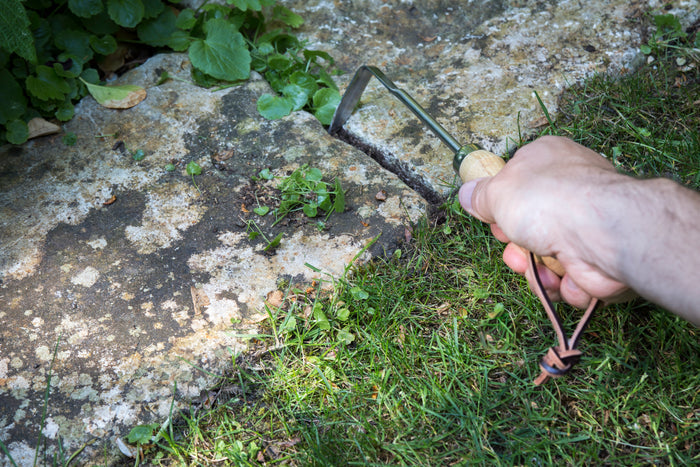 Buy Burgon & Ball RHS Weeding Finger online UK