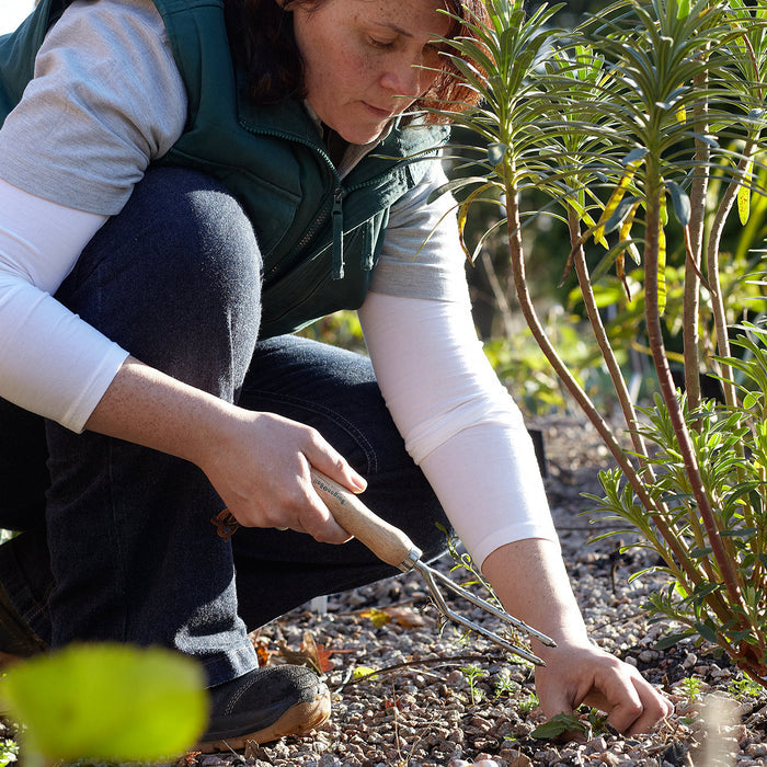 Buy Burgon & Ball RHS Weeding Fork online UK