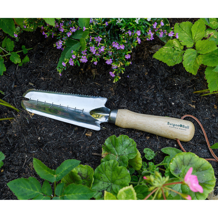 Buy Burgon & Ball RHS Weeding Trowel online UK