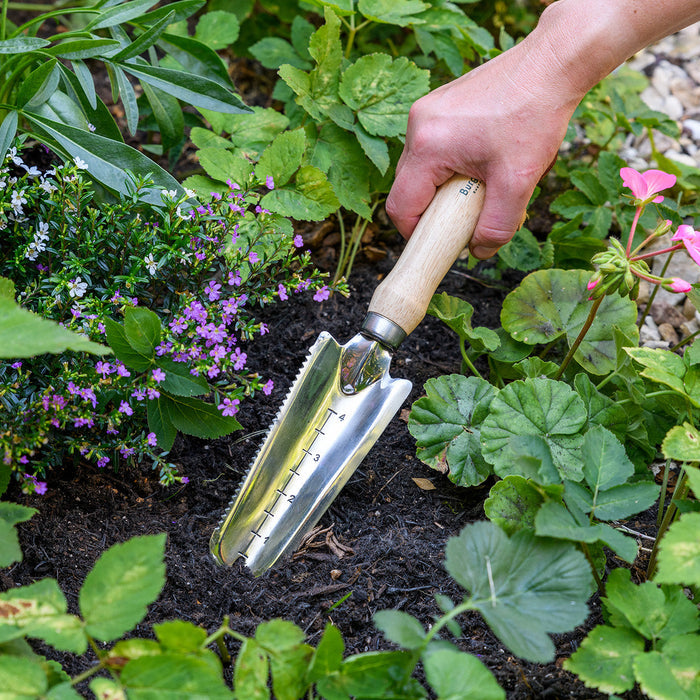 Buy Burgon & Ball RHS Weeding Trowel online UK