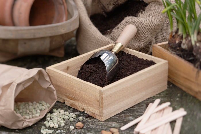 Buy Burgon & Ball Sophie Conran Compost Scoop online UK