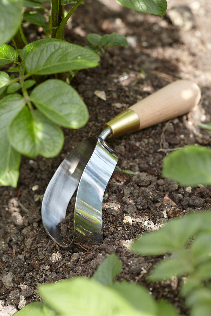 Buy Burgon & Ball Sophie Conran Ergo Hoe online UK
