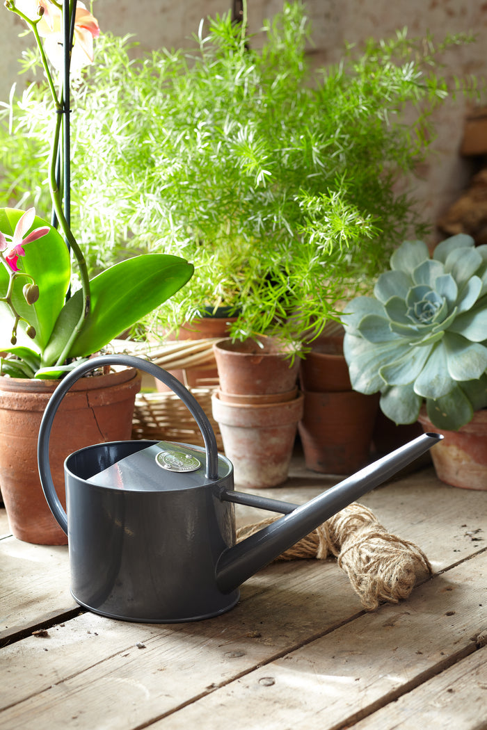 Buy Burgon & Ball Sophie Conran Greenhouse and Indoor Watering Can online UK