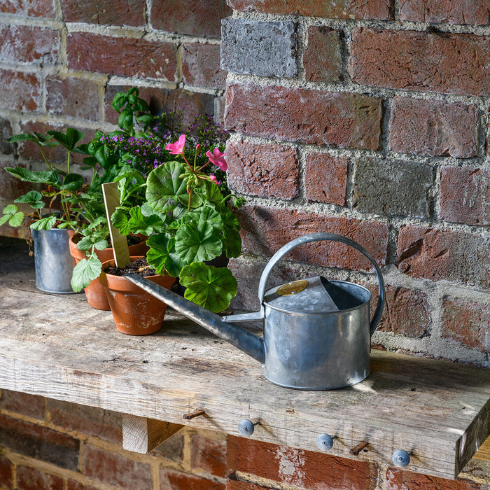 Buy Burgon & Ball Sophie Conran Small Greenhouse and Indoor Watering Can online UK