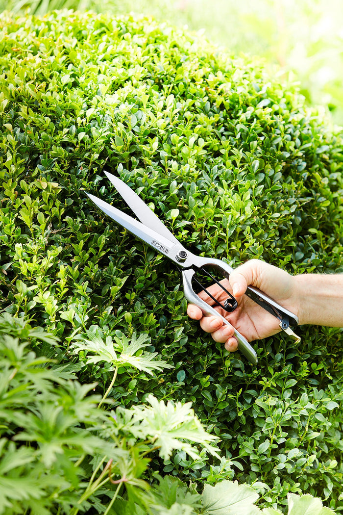Buy Burgon & Ball Sophie Conran Topiary Shear online UK
