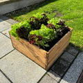 Buy Charles Taylor Country Kitchen Raised Bed online UK