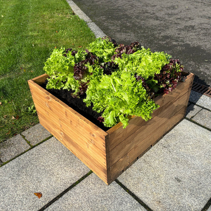 Buy Charles Taylor Country Kitchen Raised Bed online UK