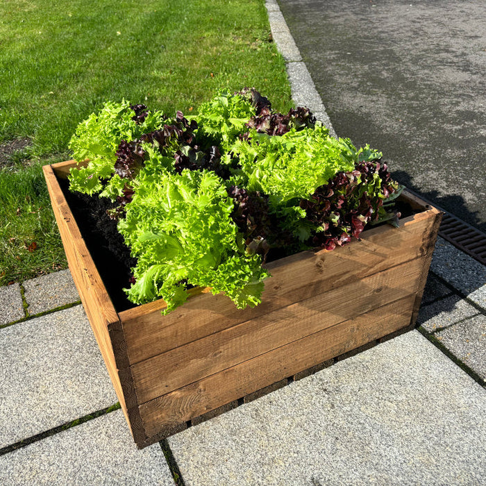 Buy Charles Taylor Country Kitchen Raised Bed online UK