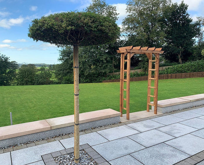 Buy Charles Taylor Devonshire Arch online UK