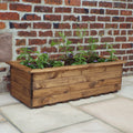 Buy Charles Taylor Extra-Large Trough Planter online UK