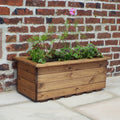 Buy Charles Taylor Large Trough Planter online UK