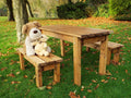 Buy Charles Taylor Little Fellas ECO Children's Table Set online UK