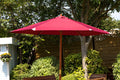 Buy Charles Taylor Parasol online UK