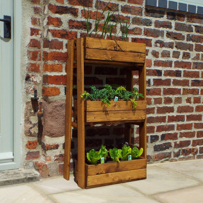 Buy Charles Taylor Tiered Herb Garden Planter online UK