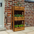 Buy Charles Taylor Tiered Herb Garden Planter online UK
