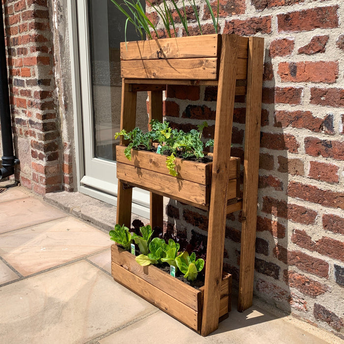 Buy Charles Taylor Tiered Herb Garden Planter online UK