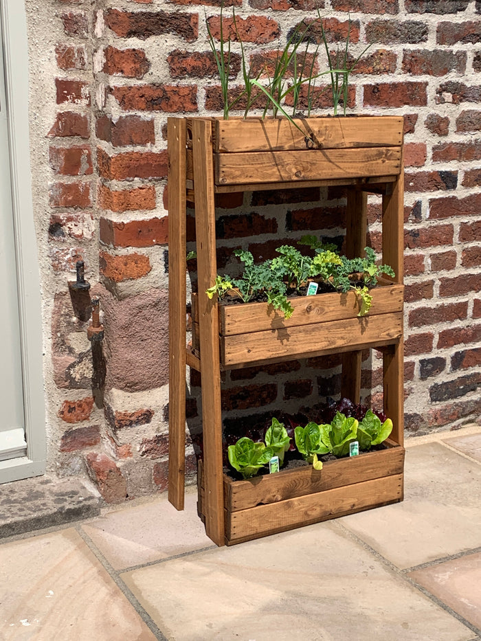 Buy Charles Taylor Tiered Herb Garden Planter online UK