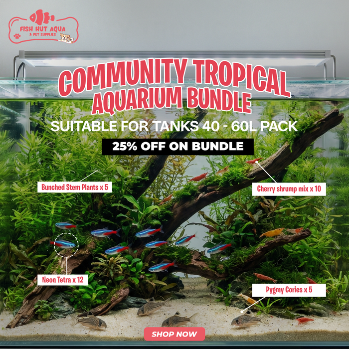 Community Tropical Aquarium Bundle - 25% OFF