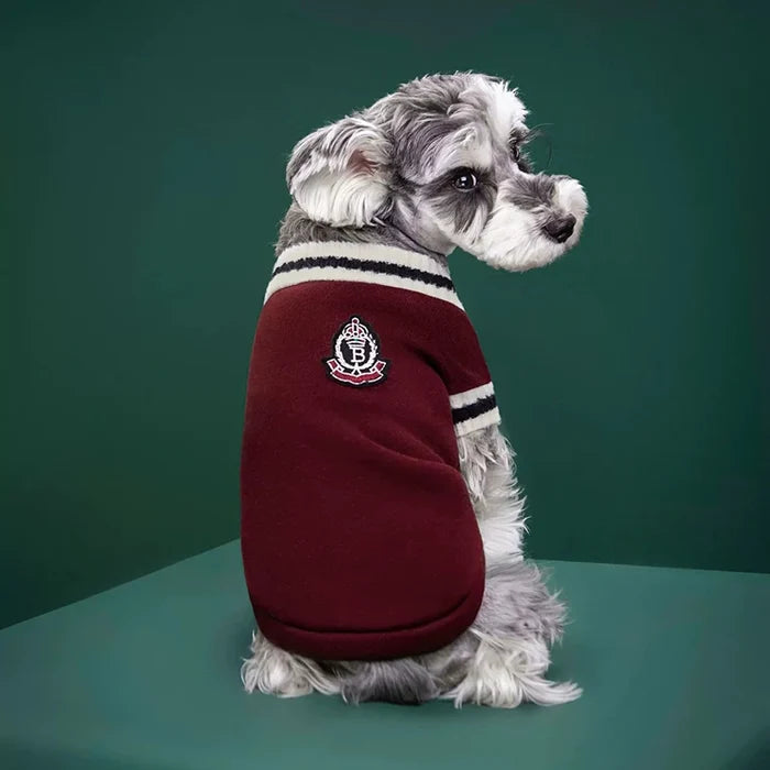 Cozy Knitted Pet Sweater