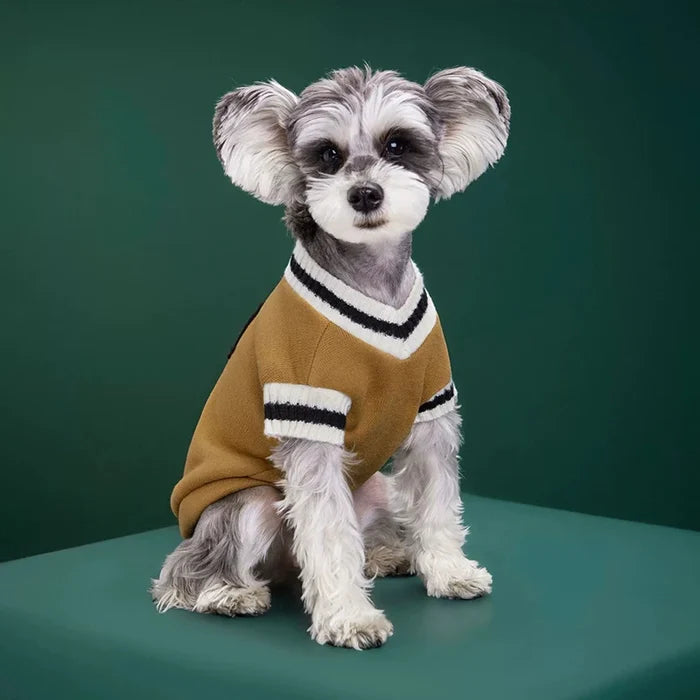 Cozy Knitted Pet Sweater
