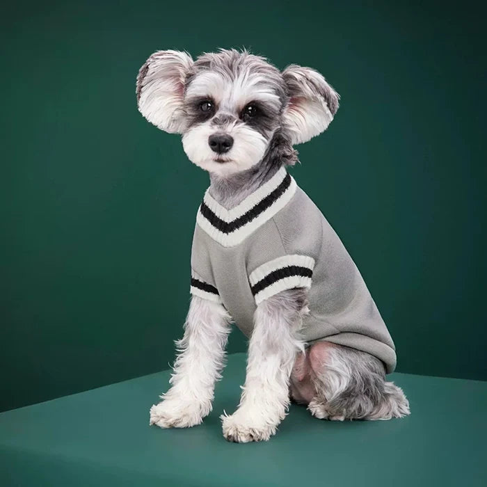 Cozy Knitted Pet Sweater