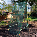 Buy Cucumber Trellis & Pea Support Frame for Heavy Climbing Plants online UK
