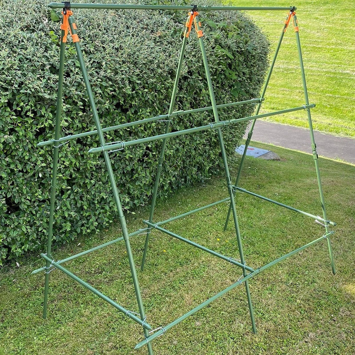 Buy Cucumber Trellis & Pea Support Frame for Heavy Climbing Plants online UK