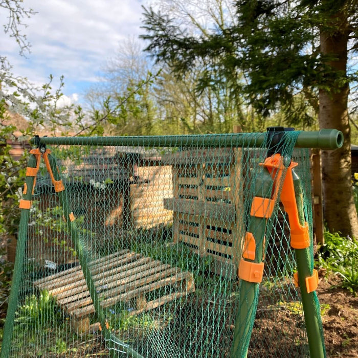 Buy Cucumber Trellis & Pea Support Frame for Heavy Climbing Plants online UK