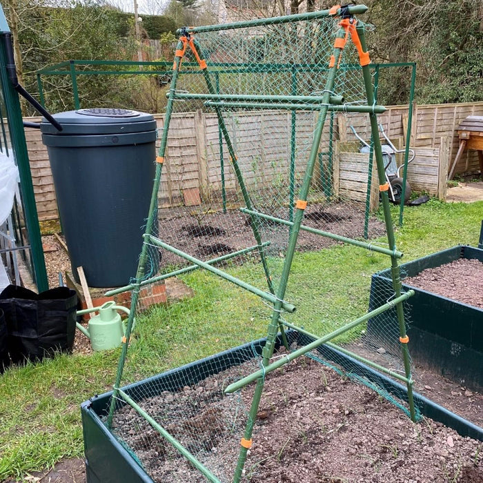 Buy Cucumber Trellis & Pea Support Frame for Heavy Climbing Plants online UK