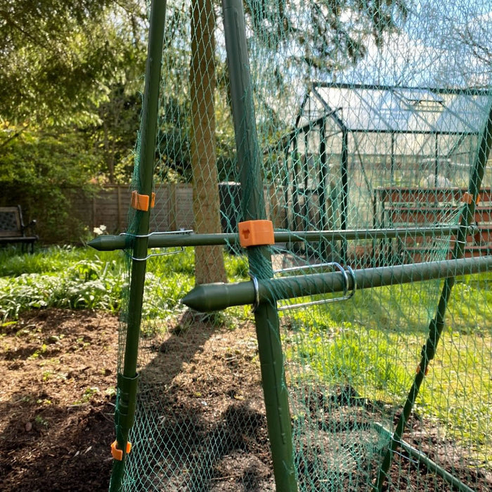Buy Cucumber Trellis & Pea Support Frame for Heavy Climbing Plants online UK