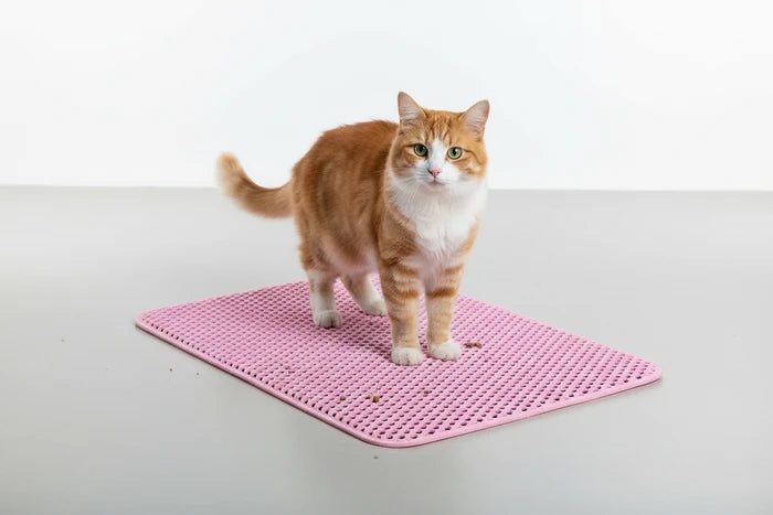 Double-Layer Cat Litter Mat