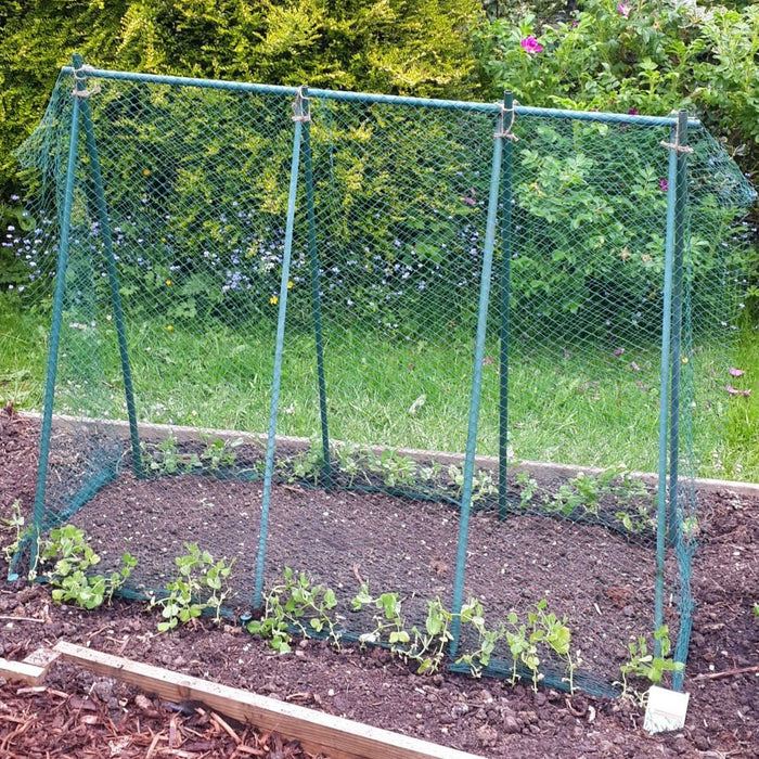 Buy Easy Grow Pea Frame & Climbing Plant Support Trellis online UK