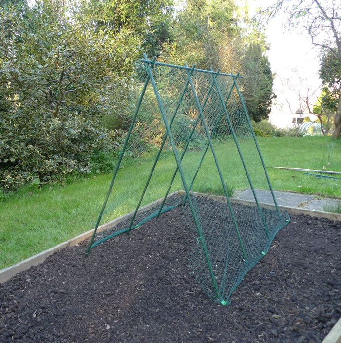 Buy Easy Grow Pea Frame & Climbing Plant Support Trellis online UK