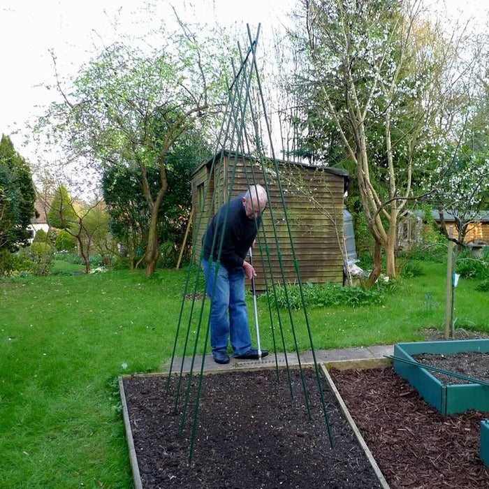 Buy Easy Grow Runner Bean Frame & Climbing Plant Support Trellis online UK