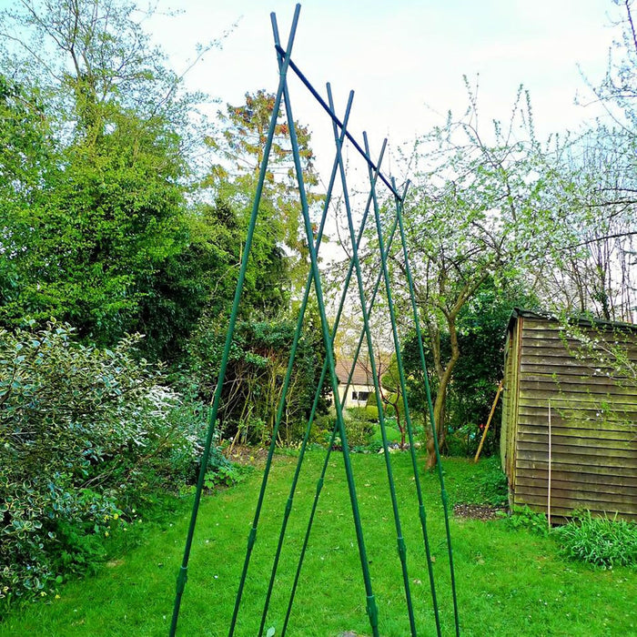 Buy Easy Grow Runner Bean Frame & Climbing Plant Support Trellis online UK