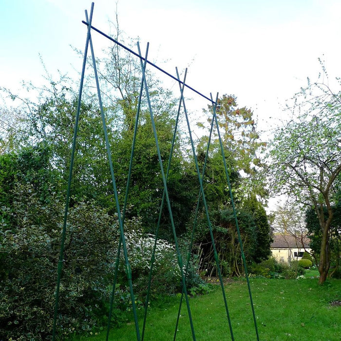 Buy Easy Grow Runner Bean Frame & Climbing Plant Support Trellis online UK