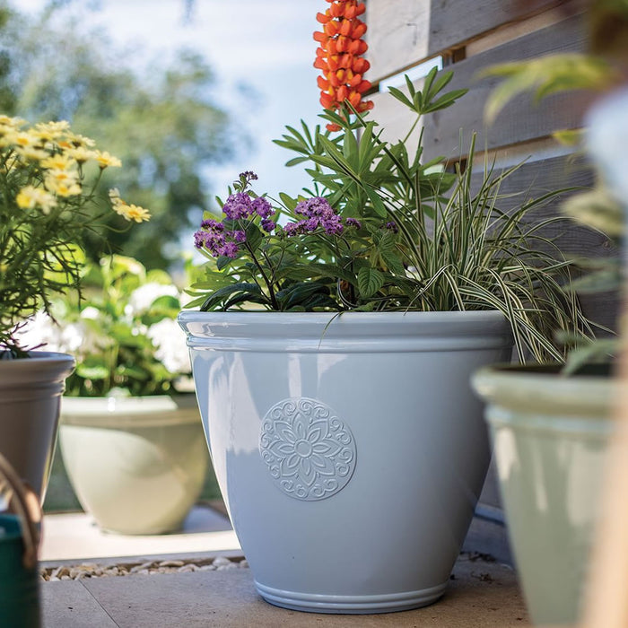 Buy Eden Emblem Planter online UK