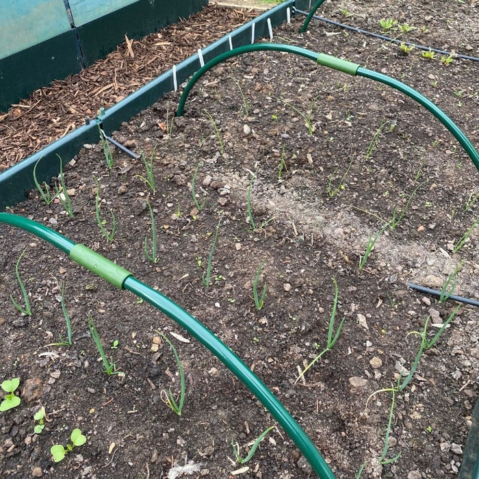 Buy Extendable Metal Garden Hoops for Grow Tunnels & Polytunnels - Small online UK