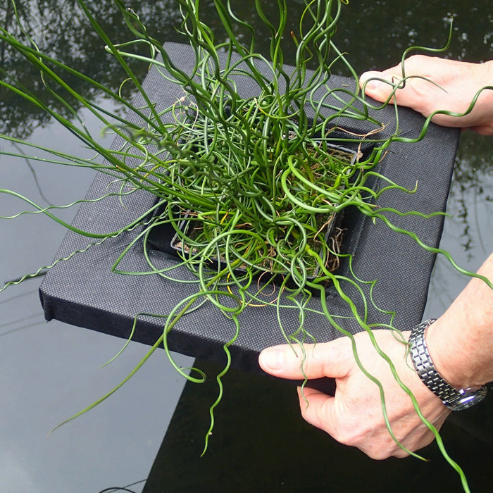 Buy Floating Aquatic Basket Square online UK