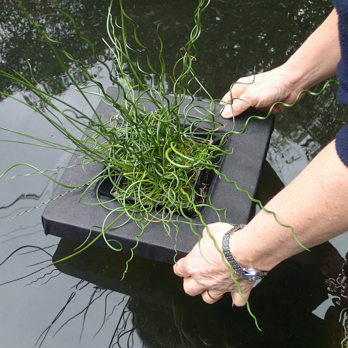 Buy Floating Aquatic Basket Square online UK