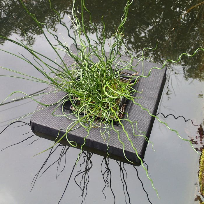 Buy Floating Aquatic Basket Square online UK