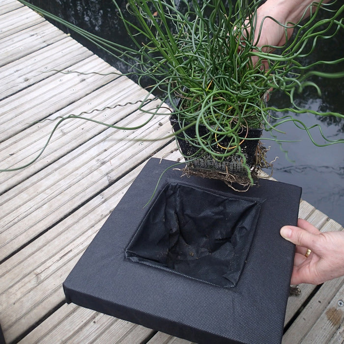 Buy Floating Aquatic Basket Square online UK