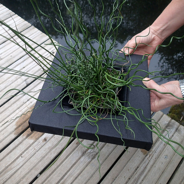 Buy Floating Aquatic Basket Square online UK