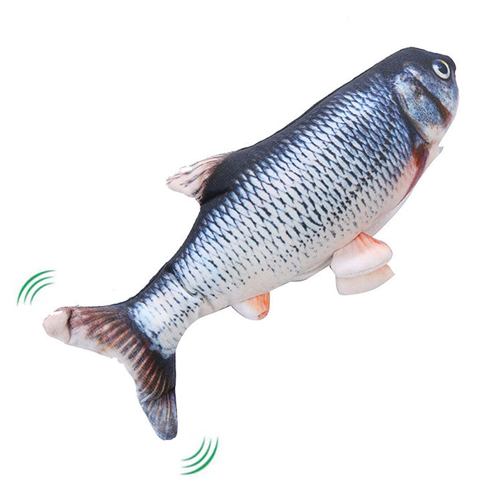 Fish