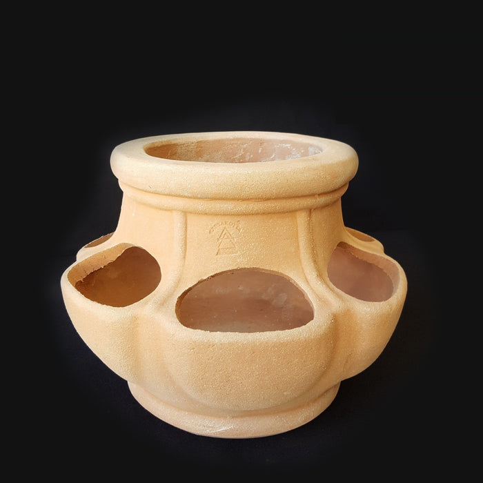 Buy Fraouliera Cretan Terracotta Pot online UK