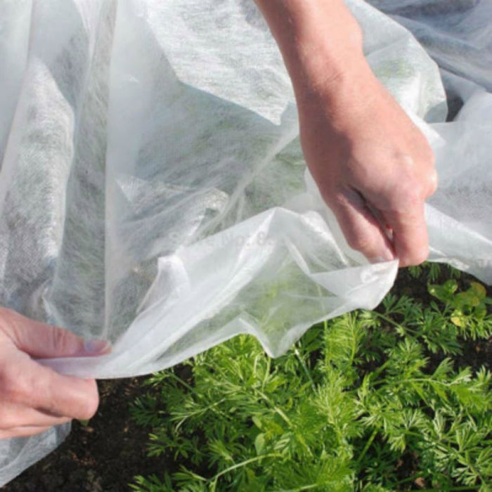 Buy Frost Buster Plant & Crop Fleece Sheet - 2m wide online UK