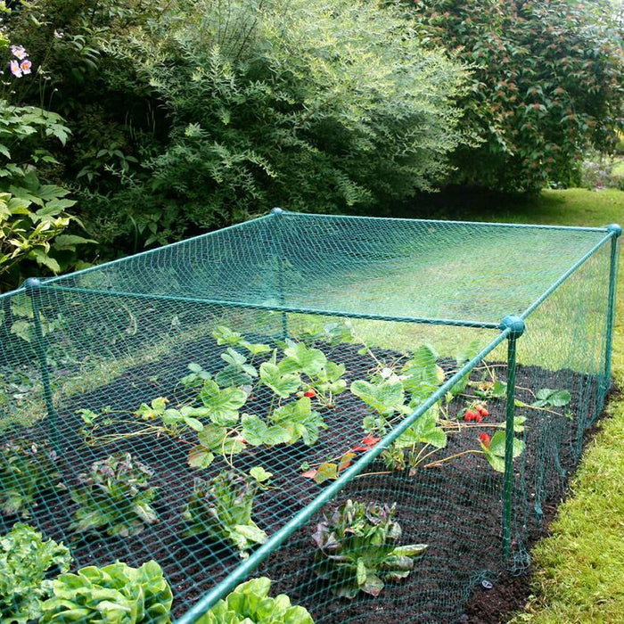 Buy Fruit and Vegetable Garden Cage Kit (0.625m high) online UK